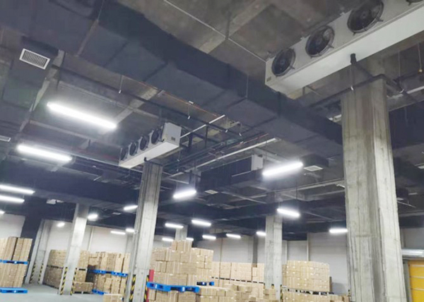 In Operation: GMP-Compliant Cool Storage Facility for Pharmaceuticals
