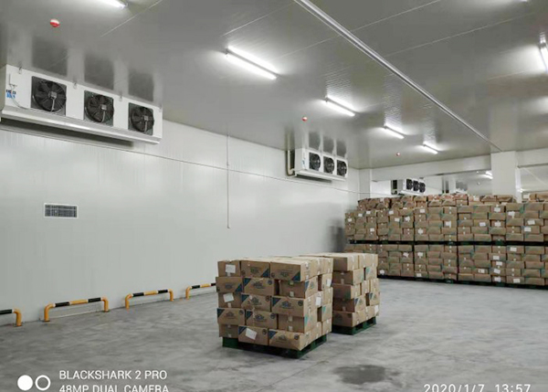 Real shot of the interior of a nut (dried fruit) cold storage in China