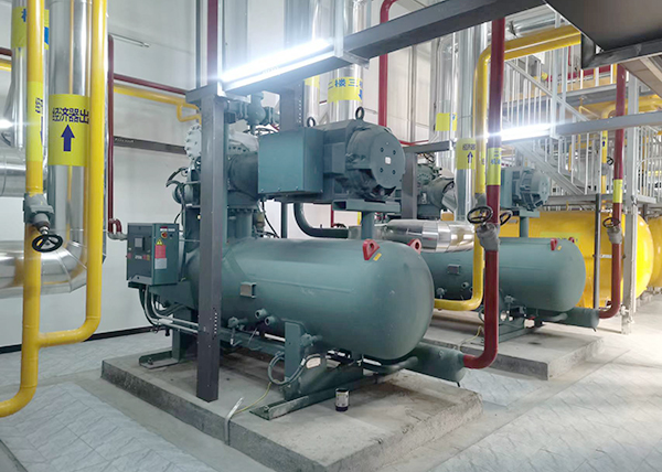  - Cold Chain Cold Storage - 3