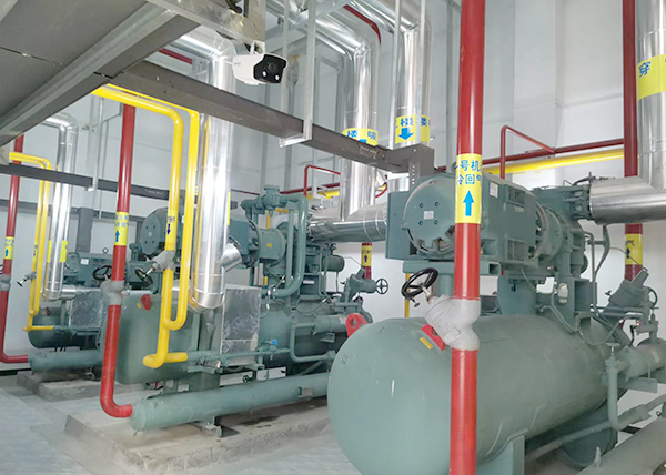  - Cold Chain Cold Storage - 2