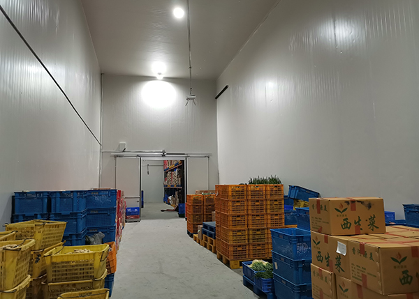 Cold storage interior completed drawing