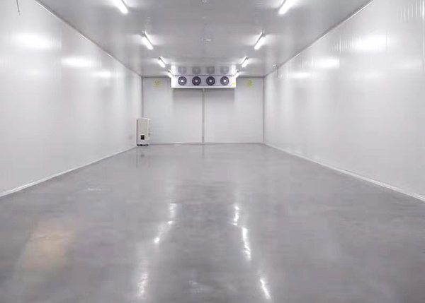 On-site interior view of the completed pharmaceutical cold storage.