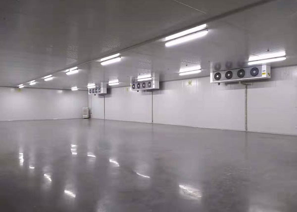 On-site interior view of the completed pharmaceutical cold storage.