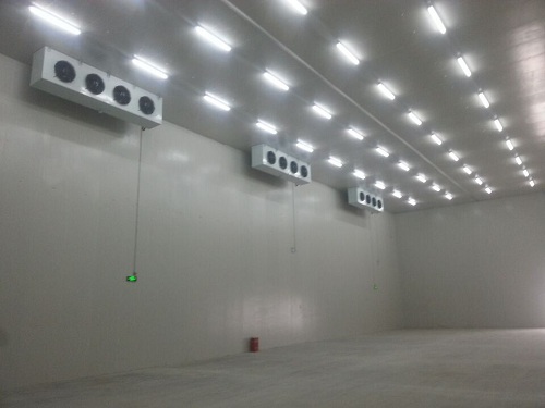  - Industrial Cold Storage - 2