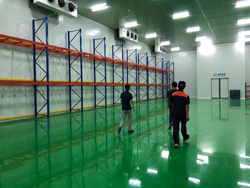 How Much Does a 500 SQM Cold Storage Room Cost? Key Factors & Estimates