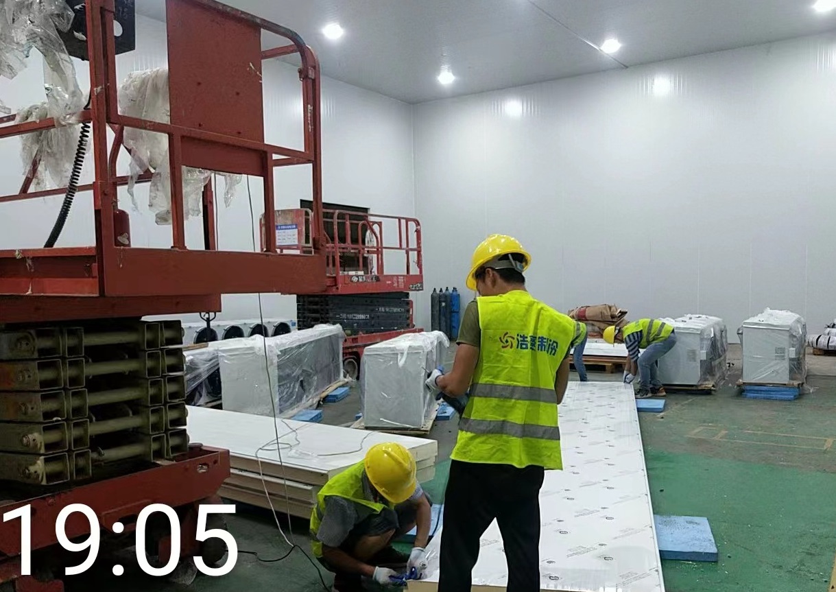 How Much Does It Cost to Build a Freezer Storage? Price per Square Meter?