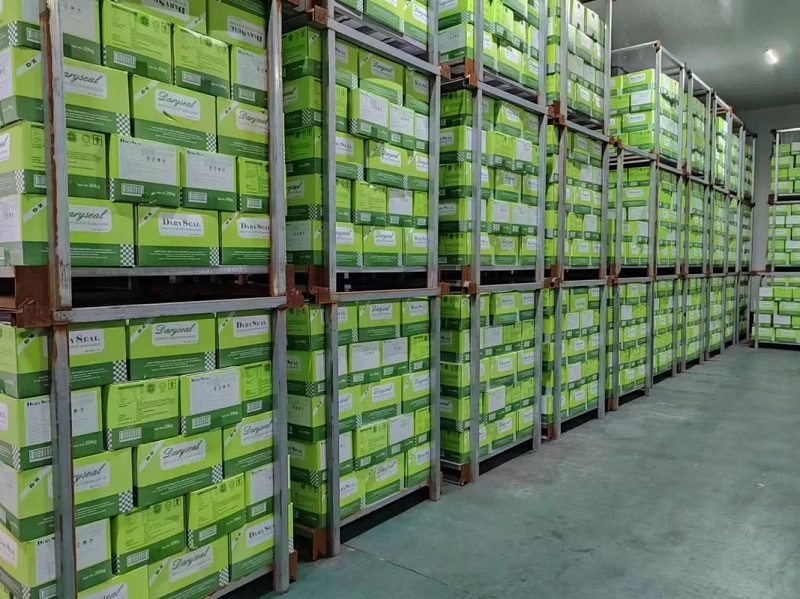 Ice Cream Cold Storage Cost Guide: Key Investment Factors & Price Analysis