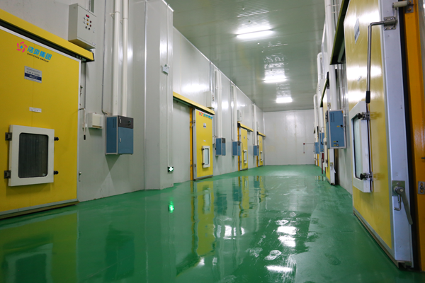 Controlled Atmosphere Cold Storage: An Advanced Solution for Fruit and Vegetable Preservation