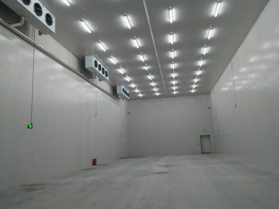 Cold chain logistics cold storage completed real shot