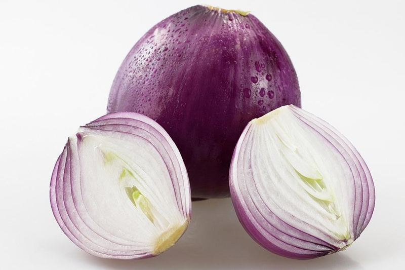 Controlled Atmosphere Storage for Onions: Preservation Methods and Shelf Life Extension
