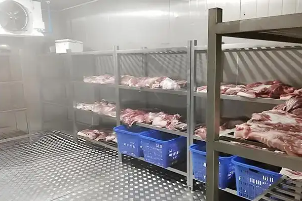 Meat cold storage real shot
