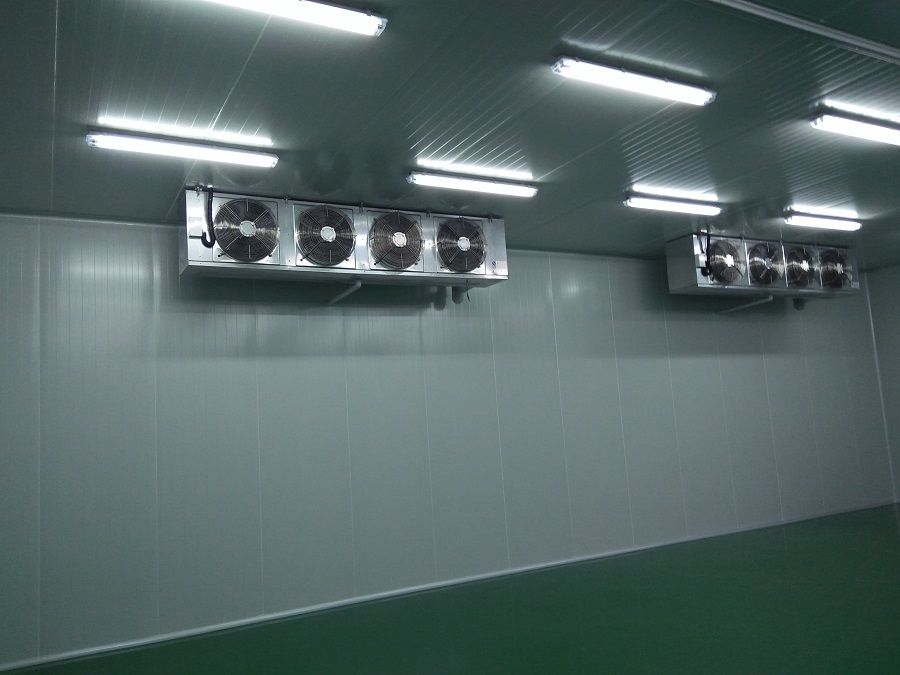 Bread and food factory cold storage real shot