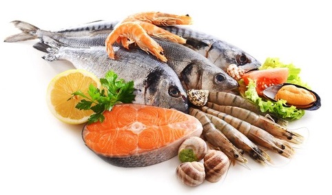 7 Industrial Seafood Freezing Methods: From At-Sea Freezing to IQF Technology