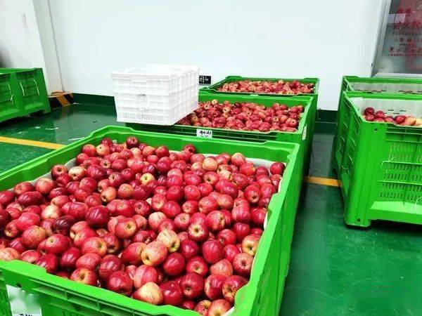  - Cold Storage Tips - 28