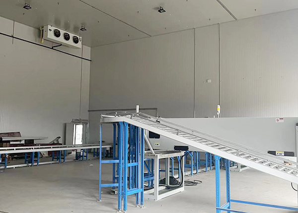  - Pharmaceutical Cold Storage - 5