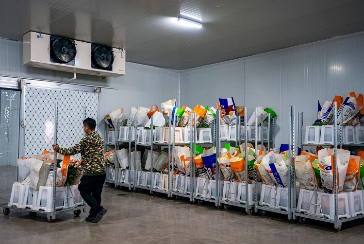 Actual scene of flower cold storage in normal use