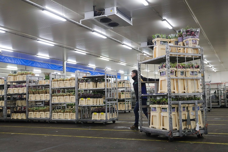  - Cold Storage Tips - 29